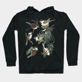 Chickadee Hoodie